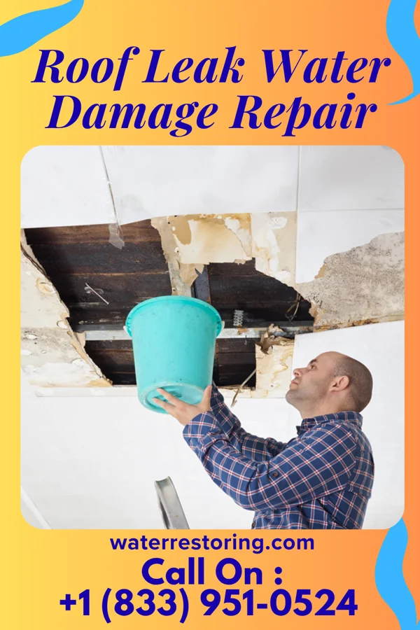 Roof Leak Water Damage Repair in Agency, MO