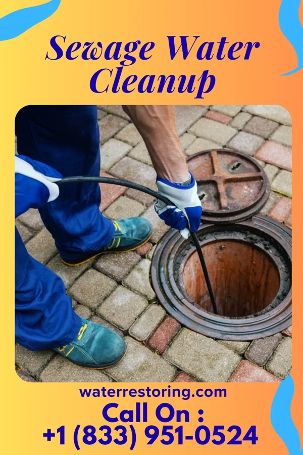 Sewage Water Cleanup in Agency, MO