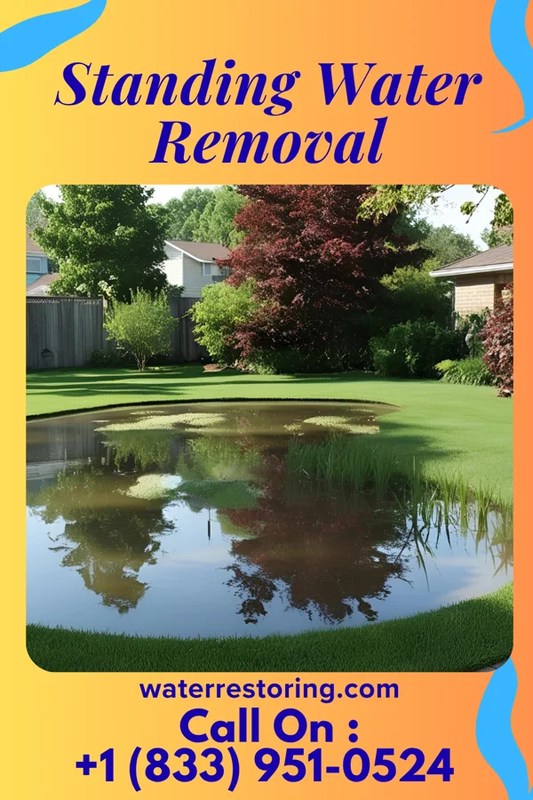 Standing Water Removal in Agency, MO